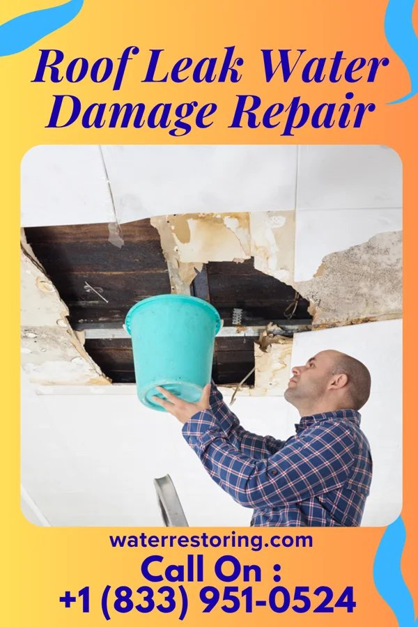Roof Leak Water Damage Repair in Miami Gardens, FL